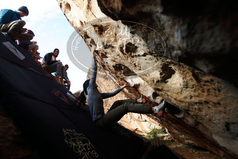 Bouldering in Hueco Tanks on 12/16/2019 with Blue Lizard Climbing and Yoga

Filename: SRM_20191216_1602490.jpg
Aperture: f/2.8
Shutter Speed: 1/250
Body: Canon EOS-1D Mark II
Lens: Canon EF 16-35mm f/2.8 L