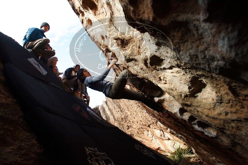 Bouldering in Hueco Tanks on 12/16/2019 with Blue Lizard Climbing and Yoga

Filename: SRM_20191216_1602580.jpg
Aperture: f/5.0
Shutter Speed: 1/500
Body: Canon EOS-1D Mark II
Lens: Canon EF 16-35mm f/2.8 L