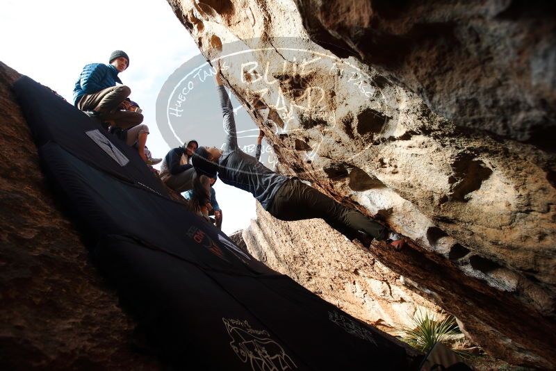 Bouldering in Hueco Tanks on 12/16/2019 with Blue Lizard Climbing and Yoga

Filename: SRM_20191216_1603050.jpg
Aperture: f/4.5
Shutter Speed: 1/500
Body: Canon EOS-1D Mark II
Lens: Canon EF 16-35mm f/2.8 L