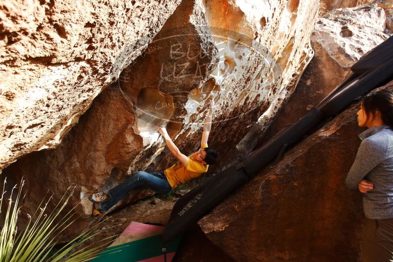 Bouldering in Hueco Tanks on 12/16/2019 with Blue Lizard Climbing and Yoga

Filename: SRM_20191216_1614020.jpg
Aperture: f/4.0
Shutter Speed: 1/500
Body: Canon EOS-1D Mark II
Lens: Canon EF 16-35mm f/2.8 L