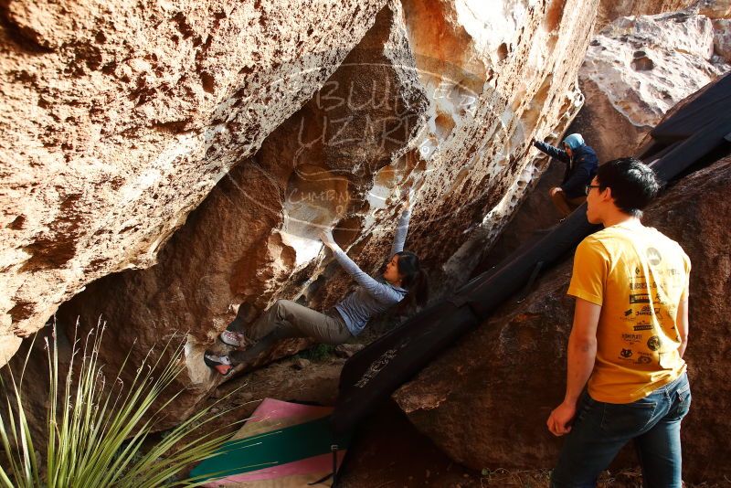 Bouldering in Hueco Tanks on 12/16/2019 with Blue Lizard Climbing and Yoga

Filename: SRM_20191216_1616540.jpg
Aperture: f/5.6
Shutter Speed: 1/250
Body: Canon EOS-1D Mark II
Lens: Canon EF 16-35mm f/2.8 L