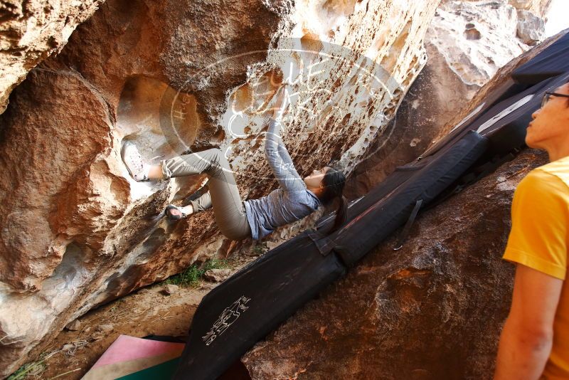 Bouldering in Hueco Tanks on 12/16/2019 with Blue Lizard Climbing and Yoga

Filename: SRM_20191216_1618340.jpg
Aperture: f/3.5
Shutter Speed: 1/250
Body: Canon EOS-1D Mark II
Lens: Canon EF 16-35mm f/2.8 L