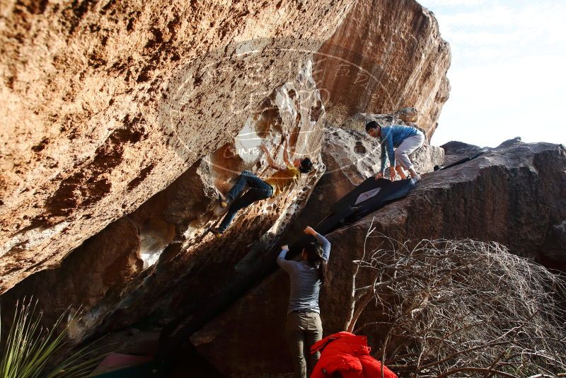 Bouldering in Hueco Tanks on 12/16/2019 with Blue Lizard Climbing and Yoga

Filename: SRM_20191216_1625100.jpg
Aperture: f/7.1
Shutter Speed: 1/250
Body: Canon EOS-1D Mark II
Lens: Canon EF 16-35mm f/2.8 L