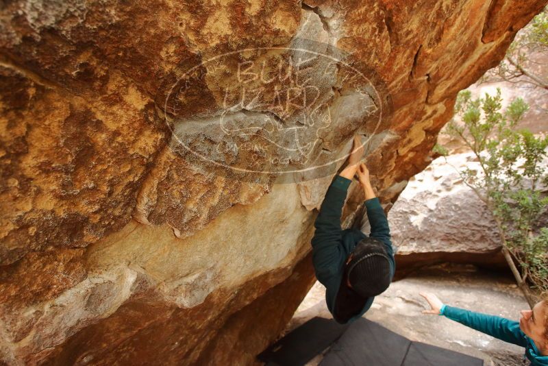 Bouldering in Hueco Tanks on 12/19/2019 with Blue Lizard Climbing and Yoga

Filename: SRM_20191219_1422340.jpg
Aperture: f/4.5
Shutter Speed: 1/250
Body: Canon EOS-1D Mark II
Lens: Canon EF 16-35mm f/2.8 L