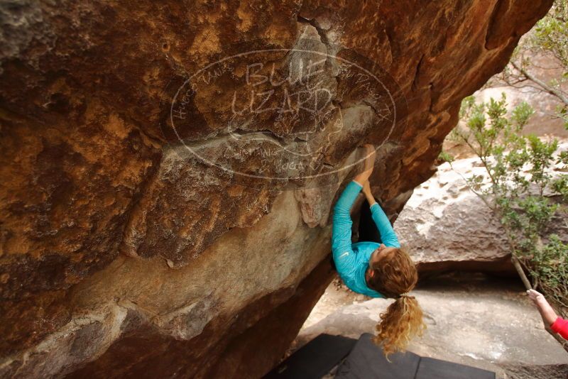 Bouldering in Hueco Tanks on 12/19/2019 with Blue Lizard Climbing and Yoga

Filename: SRM_20191219_1424450.jpg
Aperture: f/4.5
Shutter Speed: 1/250
Body: Canon EOS-1D Mark II
Lens: Canon EF 16-35mm f/2.8 L