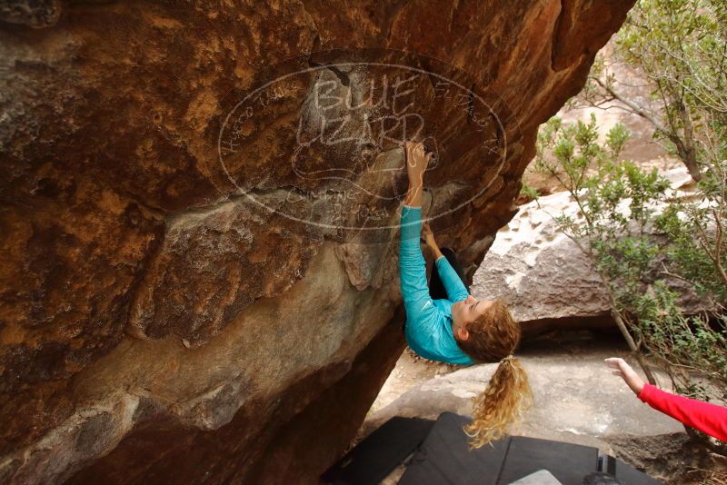 Bouldering in Hueco Tanks on 12/19/2019 with Blue Lizard Climbing and Yoga

Filename: SRM_20191219_1424490.jpg
Aperture: f/4.5
Shutter Speed: 1/250
Body: Canon EOS-1D Mark II
Lens: Canon EF 16-35mm f/2.8 L