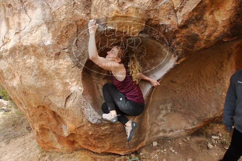 Bouldering in Hueco Tanks on 12/19/2019 with Blue Lizard Climbing and Yoga

Filename: SRM_20191219_1529320.jpg
Aperture: f/4.5
Shutter Speed: 1/250
Body: Canon EOS-1D Mark II
Lens: Canon EF 16-35mm f/2.8 L