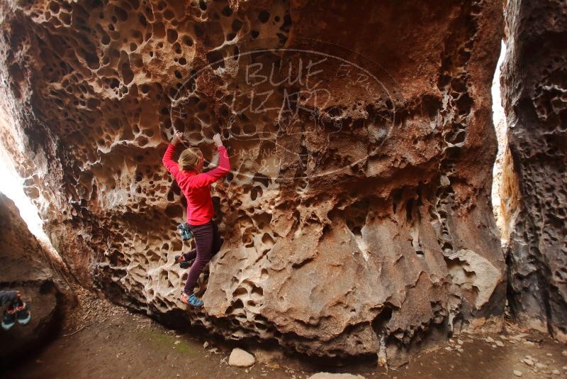 Bouldering in Hueco Tanks on 12/19/2019 with Blue Lizard Climbing and Yoga

Filename: SRM_20191219_1614310.jpg
Aperture: f/2.8
Shutter Speed: 1/100
Body: Canon EOS-1D Mark II
Lens: Canon EF 16-35mm f/2.8 L