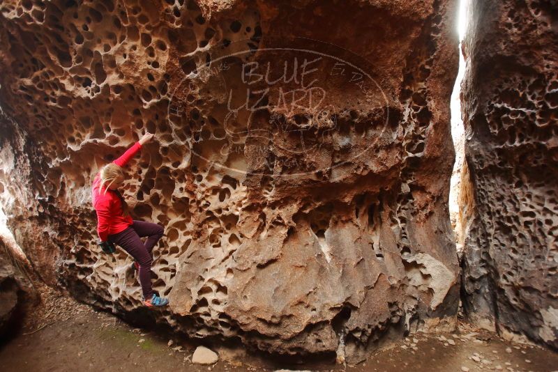 Bouldering in Hueco Tanks on 12/19/2019 with Blue Lizard Climbing and Yoga

Filename: SRM_20191219_1614340.jpg
Aperture: f/2.8
Shutter Speed: 1/100
Body: Canon EOS-1D Mark II
Lens: Canon EF 16-35mm f/2.8 L