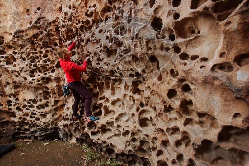 Bouldering in Hueco Tanks on 12/19/2019 with Blue Lizard Climbing and Yoga

Filename: SRM_20191219_1617060.jpg
Aperture: f/4.0
Shutter Speed: 1/100
Body: Canon EOS-1D Mark II
Lens: Canon EF 16-35mm f/2.8 L