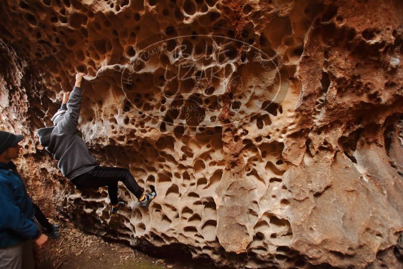 Bouldering in Hueco Tanks on 12/19/2019 with Blue Lizard Climbing and Yoga

Filename: SRM_20191219_1620220.jpg
Aperture: f/2.8
Shutter Speed: 1/100
Body: Canon EOS-1D Mark II
Lens: Canon EF 16-35mm f/2.8 L