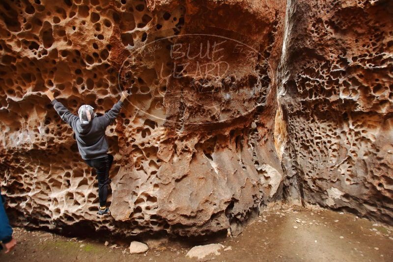 Bouldering in Hueco Tanks on 12/19/2019 with Blue Lizard Climbing and Yoga

Filename: SRM_20191219_1620570.jpg
Aperture: f/2.8
Shutter Speed: 1/80
Body: Canon EOS-1D Mark II
Lens: Canon EF 16-35mm f/2.8 L