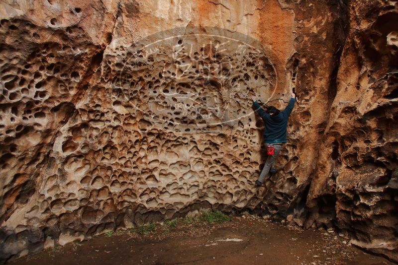 Bouldering in Hueco Tanks on 12/19/2019 with Blue Lizard Climbing and Yoga

Filename: SRM_20191219_1630190.jpg
Aperture: f/4.5
Shutter Speed: 1/100
Body: Canon EOS-1D Mark II
Lens: Canon EF 16-35mm f/2.8 L