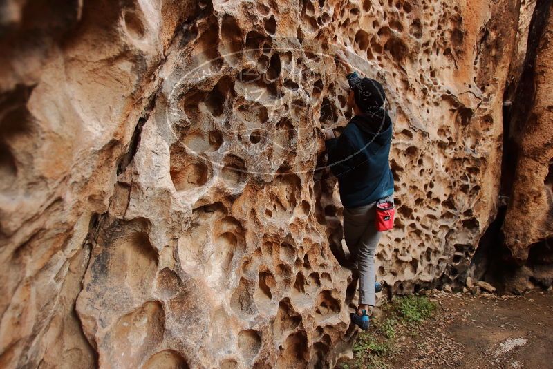 Bouldering in Hueco Tanks on 12/19/2019 with Blue Lizard Climbing and Yoga

Filename: SRM_20191219_1630410.jpg
Aperture: f/3.2
Shutter Speed: 1/100
Body: Canon EOS-1D Mark II
Lens: Canon EF 16-35mm f/2.8 L