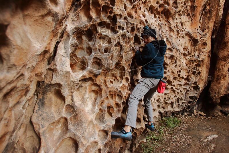 Bouldering in Hueco Tanks on 12/19/2019 with Blue Lizard Climbing and Yoga

Filename: SRM_20191219_1630440.jpg
Aperture: f/3.5
Shutter Speed: 1/100
Body: Canon EOS-1D Mark II
Lens: Canon EF 16-35mm f/2.8 L