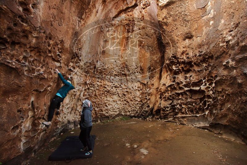 Bouldering in Hueco Tanks on 12/19/2019 with Blue Lizard Climbing and Yoga

Filename: SRM_20191219_1635370.jpg
Aperture: f/4.0
Shutter Speed: 1/100
Body: Canon EOS-1D Mark II
Lens: Canon EF 16-35mm f/2.8 L