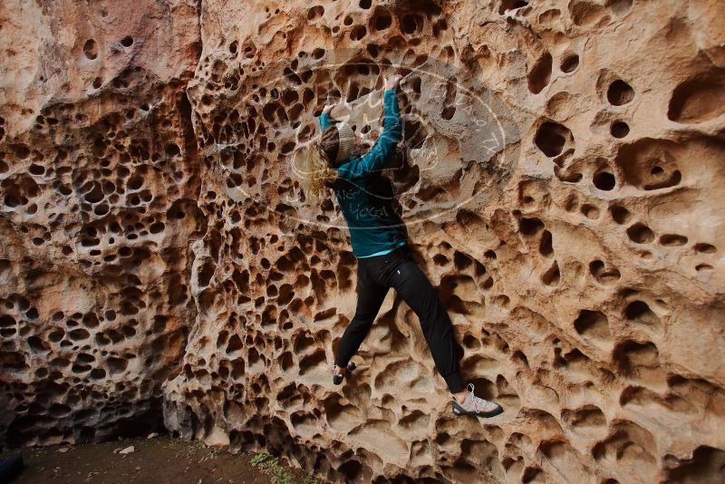 Bouldering in Hueco Tanks on 12/19/2019 with Blue Lizard Climbing and Yoga

Filename: SRM_20191219_1636500.jpg
Aperture: f/4.0
Shutter Speed: 1/100
Body: Canon EOS-1D Mark II
Lens: Canon EF 16-35mm f/2.8 L