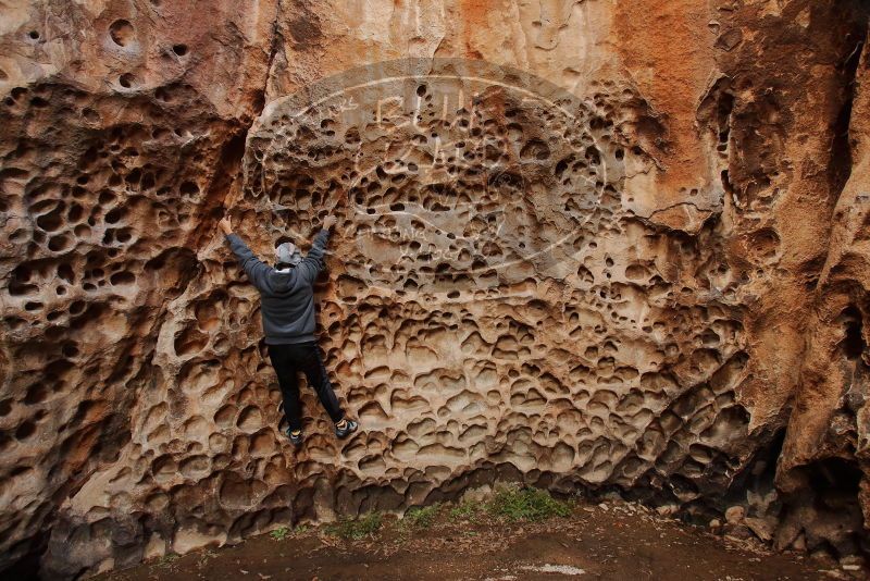 Bouldering in Hueco Tanks on 12/19/2019 with Blue Lizard Climbing and Yoga

Filename: SRM_20191219_1638340.jpg
Aperture: f/4.5
Shutter Speed: 1/100
Body: Canon EOS-1D Mark II
Lens: Canon EF 16-35mm f/2.8 L