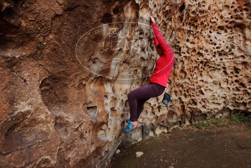 Bouldering in Hueco Tanks on 12/19/2019 with Blue Lizard Climbing and Yoga

Filename: SRM_20191219_1641050.jpg
Aperture: f/4.0
Shutter Speed: 1/100
Body: Canon EOS-1D Mark II
Lens: Canon EF 16-35mm f/2.8 L