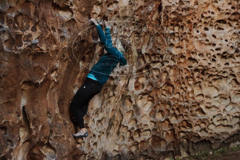 Bouldering in Hueco Tanks on 12/19/2019 with Blue Lizard Climbing and Yoga

Filename: SRM_20191219_1646190.jpg
Aperture: f/4.0
Shutter Speed: 1/100
Body: Canon EOS-1D Mark II
Lens: Canon EF 50mm f/1.8 II