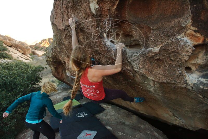 Bouldering in Hueco Tanks on 12/19/2019 with Blue Lizard Climbing and Yoga

Filename: SRM_20191219_1802140.jpg
Aperture: f/4.0
Shutter Speed: 1/250
Body: Canon EOS-1D Mark II
Lens: Canon EF 16-35mm f/2.8 L