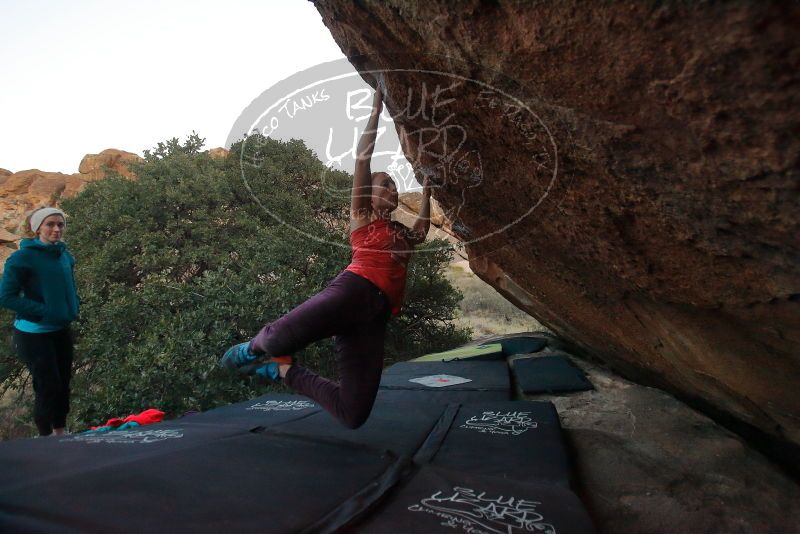 Bouldering in Hueco Tanks on 12/19/2019 with Blue Lizard Climbing and Yoga

Filename: SRM_20191219_1812160.jpg
Aperture: f/3.5
Shutter Speed: 1/250
Body: Canon EOS-1D Mark II
Lens: Canon EF 16-35mm f/2.8 L