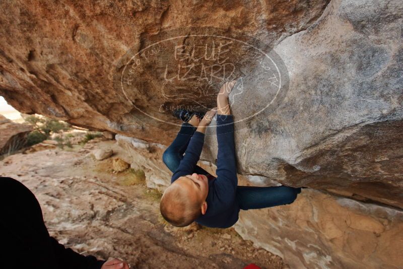 Bouldering in Hueco Tanks on 12/23/2019 with Blue Lizard Climbing and Yoga

Filename: SRM_20191223_0959550.jpg
Aperture: f/6.3
Shutter Speed: 1/250
Body: Canon EOS-1D Mark II
Lens: Canon EF 16-35mm f/2.8 L