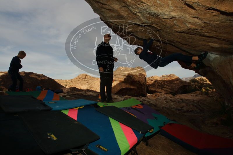 Bouldering in Hueco Tanks on 12/23/2019 with Blue Lizard Climbing and Yoga

Filename: SRM_20191223_1017180.jpg
Aperture: f/9.0
Shutter Speed: 1/250
Body: Canon EOS-1D Mark II
Lens: Canon EF 16-35mm f/2.8 L