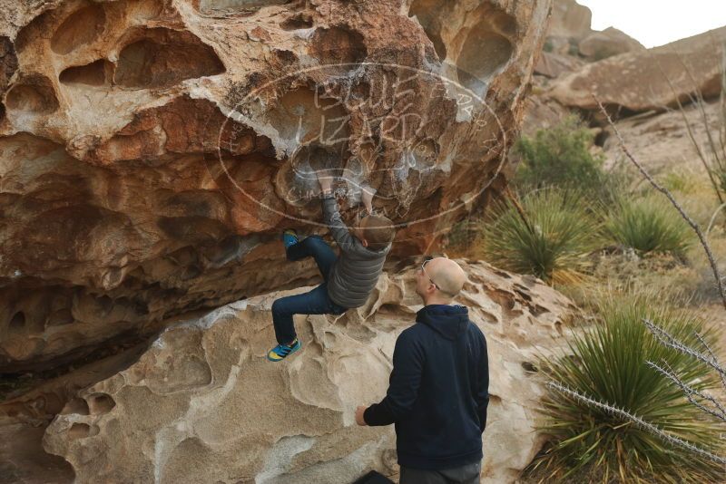 Bouldering in Hueco Tanks on 12/23/2019 with Blue Lizard Climbing and Yoga

Filename: SRM_20191223_1045110.jpg
Aperture: f/4.0
Shutter Speed: 1/500
Body: Canon EOS-1D Mark II
Lens: Canon EF 50mm f/1.8 II