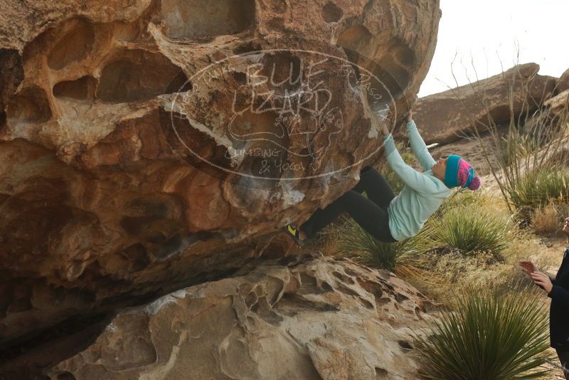 Bouldering in Hueco Tanks on 12/23/2019 with Blue Lizard Climbing and Yoga

Filename: SRM_20191223_1054370.jpg
Aperture: f/6.3
Shutter Speed: 1/500
Body: Canon EOS-1D Mark II
Lens: Canon EF 50mm f/1.8 II