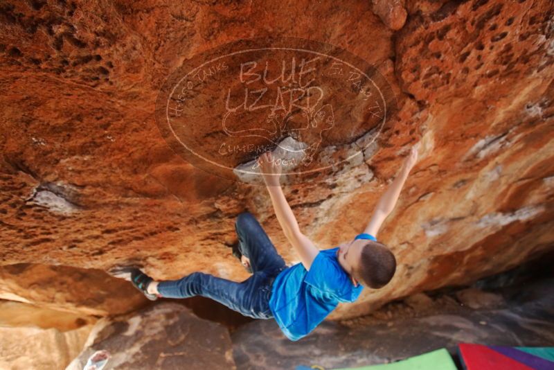 Bouldering in Hueco Tanks on 12/23/2019 with Blue Lizard Climbing and Yoga

Filename: SRM_20191223_1242330.jpg
Aperture: f/3.5
Shutter Speed: 1/250
Body: Canon EOS-1D Mark II
Lens: Canon EF 16-35mm f/2.8 L