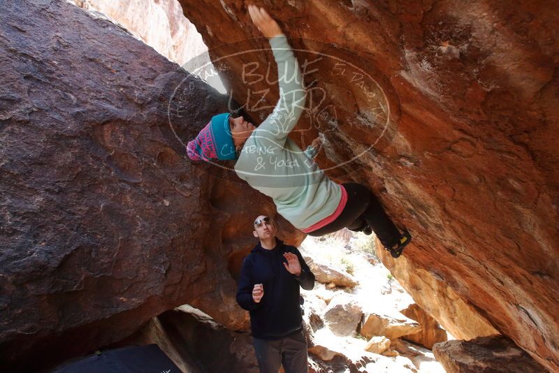 Bouldering in Hueco Tanks on 12/23/2019 with Blue Lizard Climbing and Yoga

Filename: SRM_20191223_1256290.jpg
Aperture: f/5.6
Shutter Speed: 1/250
Body: Canon EOS-1D Mark II
Lens: Canon EF 16-35mm f/2.8 L