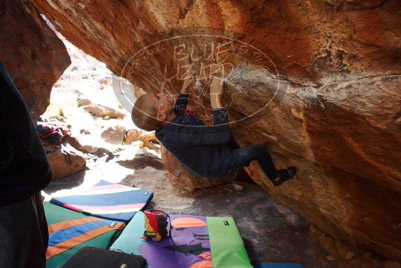 Bouldering in Hueco Tanks on 12/23/2019 with Blue Lizard Climbing and Yoga

Filename: SRM_20191223_1341590.jpg
Aperture: f/5.0
Shutter Speed: 1/250
Body: Canon EOS-1D Mark II
Lens: Canon EF 16-35mm f/2.8 L