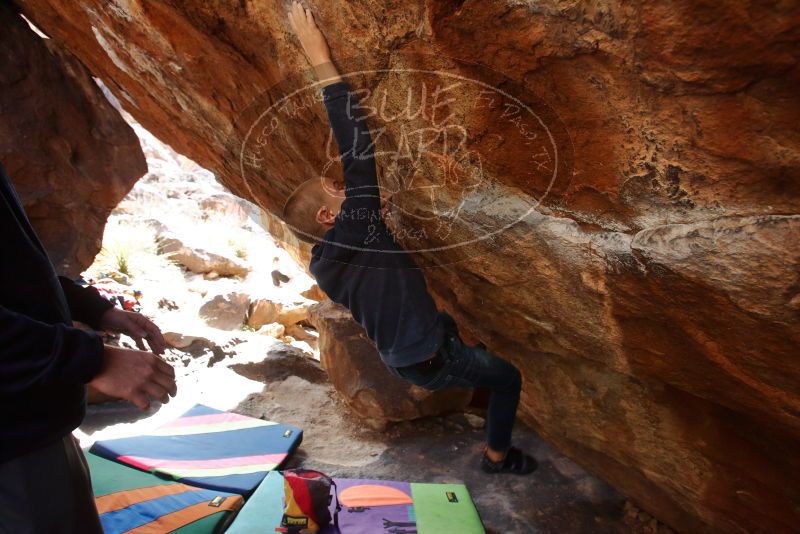 Bouldering in Hueco Tanks on 12/23/2019 with Blue Lizard Climbing and Yoga

Filename: SRM_20191223_1342000.jpg
Aperture: f/5.0
Shutter Speed: 1/250
Body: Canon EOS-1D Mark II
Lens: Canon EF 16-35mm f/2.8 L