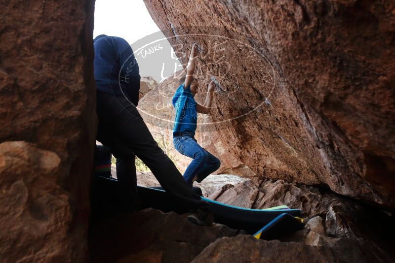 Bouldering in Hueco Tanks on 12/23/2019 with Blue Lizard Climbing and Yoga

Filename: SRM_20191223_1438210.jpg
Aperture: f/4.5
Shutter Speed: 1/250
Body: Canon EOS-1D Mark II
Lens: Canon EF 16-35mm f/2.8 L