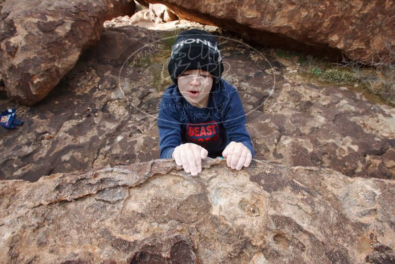 Bouldering in Hueco Tanks on 12/23/2019 with Blue Lizard Climbing and Yoga

Filename: SRM_20191223_1448401.jpg
Aperture: f/8.0
Shutter Speed: 1/250
Body: Canon EOS-1D Mark II
Lens: Canon EF 16-35mm f/2.8 L