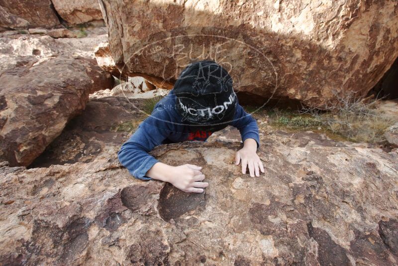 Bouldering in Hueco Tanks on 12/23/2019 with Blue Lizard Climbing and Yoga

Filename: SRM_20191223_1448450.jpg
Aperture: f/7.1
Shutter Speed: 1/250
Body: Canon EOS-1D Mark II
Lens: Canon EF 16-35mm f/2.8 L