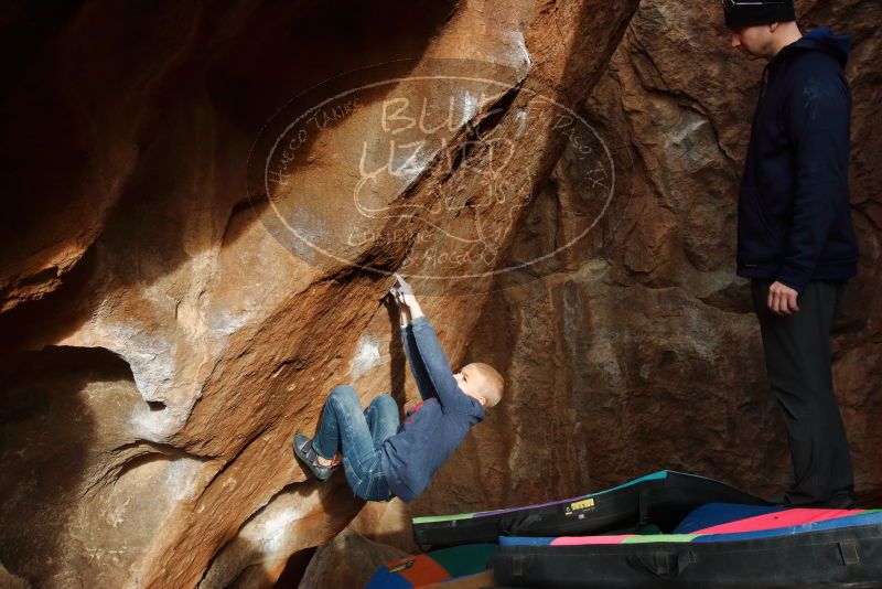 Bouldering in Hueco Tanks on 12/23/2019 with Blue Lizard Climbing and Yoga

Filename: SRM_20191223_1602210.jpg
Aperture: f/9.0
Shutter Speed: 1/250
Body: Canon EOS-1D Mark II
Lens: Canon EF 16-35mm f/2.8 L