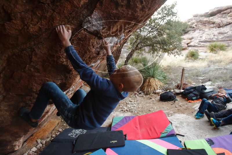 Bouldering in Hueco Tanks on 12/23/2019 with Blue Lizard Climbing and Yoga

Filename: SRM_20191223_1734110.jpg
Aperture: f/3.5
Shutter Speed: 1/250
Body: Canon EOS-1D Mark II
Lens: Canon EF 16-35mm f/2.8 L