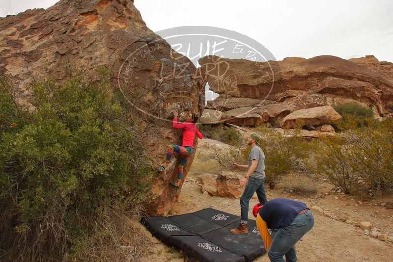 Bouldering in Hueco Tanks on 12/24/2019 with Blue Lizard Climbing and Yoga

Filename: SRM_20191224_1114470.jpg
Aperture: f/7.1
Shutter Speed: 1/320
Body: Canon EOS-1D Mark II
Lens: Canon EF 16-35mm f/2.8 L