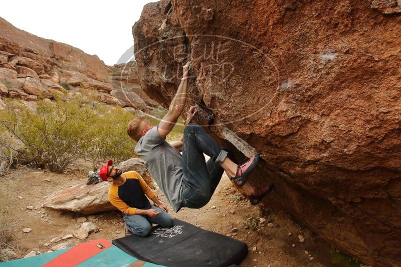 Bouldering in Hueco Tanks on 12/24/2019 with Blue Lizard Climbing and Yoga

Filename: SRM_20191224_1203190.jpg
Aperture: f/6.3
Shutter Speed: 1/320
Body: Canon EOS-1D Mark II
Lens: Canon EF 16-35mm f/2.8 L