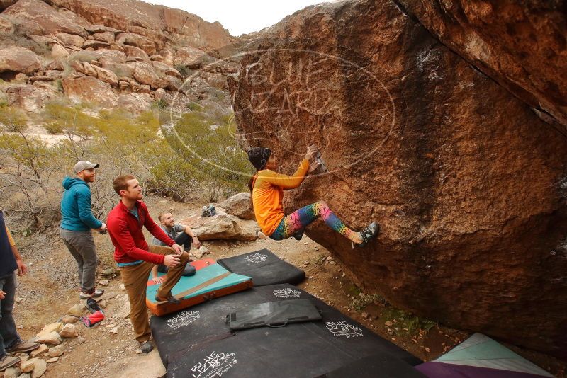 Bouldering in Hueco Tanks on 12/24/2019 with Blue Lizard Climbing and Yoga

Filename: SRM_20191224_1203570.jpg
Aperture: f/6.3
Shutter Speed: 1/320
Body: Canon EOS-1D Mark II
Lens: Canon EF 16-35mm f/2.8 L