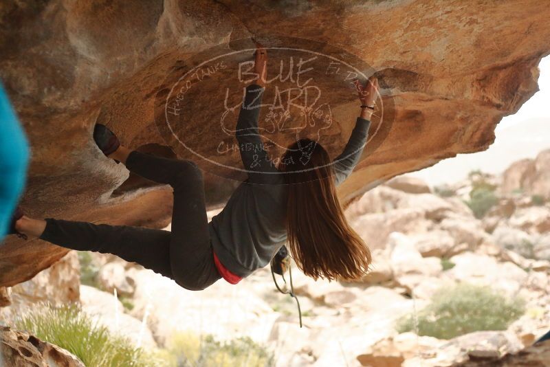 Bouldering in Hueco Tanks on 12/24/2019 with Blue Lizard Climbing and Yoga

Filename: SRM_20191224_1632070.jpg
Aperture: f/2.5
Shutter Speed: 1/250
Body: Canon EOS-1D Mark II
Lens: Canon EF 50mm f/1.8 II