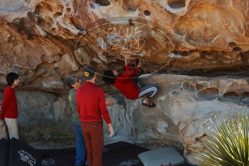 Bouldering in Hueco Tanks on 12/26/2019 with Blue Lizard Climbing and Yoga

Filename: SRM_20191226_1114020.jpg
Aperture: f/5.0
Shutter Speed: 1/250
Body: Canon EOS-1D Mark II
Lens: Canon EF 50mm f/1.8 II