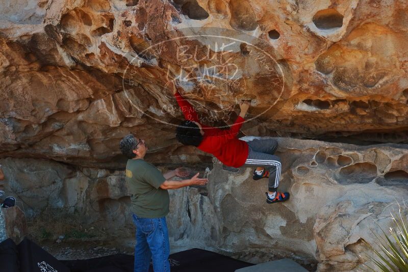 Bouldering in Hueco Tanks on 12/26/2019 with Blue Lizard Climbing and Yoga

Filename: SRM_20191226_1115490.jpg
Aperture: f/5.0
Shutter Speed: 1/250
Body: Canon EOS-1D Mark II
Lens: Canon EF 50mm f/1.8 II