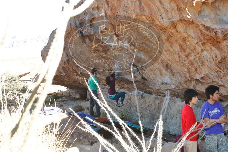 Bouldering in Hueco Tanks on 12/26/2019 with Blue Lizard Climbing and Yoga

Filename: SRM_20191226_1116390.jpg
Aperture: f/4.0
Shutter Speed: 1/250
Body: Canon EOS-1D Mark II
Lens: Canon EF 50mm f/1.8 II