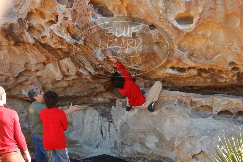 Bouldering in Hueco Tanks on 12/26/2019 with Blue Lizard Climbing and Yoga

Filename: SRM_20191226_1117450.jpg
Aperture: f/4.0
Shutter Speed: 1/250
Body: Canon EOS-1D Mark II
Lens: Canon EF 50mm f/1.8 II