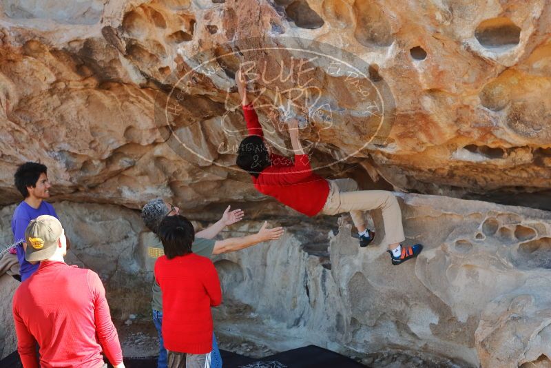 Bouldering in Hueco Tanks on 12/26/2019 with Blue Lizard Climbing and Yoga

Filename: SRM_20191226_1117540.jpg
Aperture: f/4.0
Shutter Speed: 1/250
Body: Canon EOS-1D Mark II
Lens: Canon EF 50mm f/1.8 II