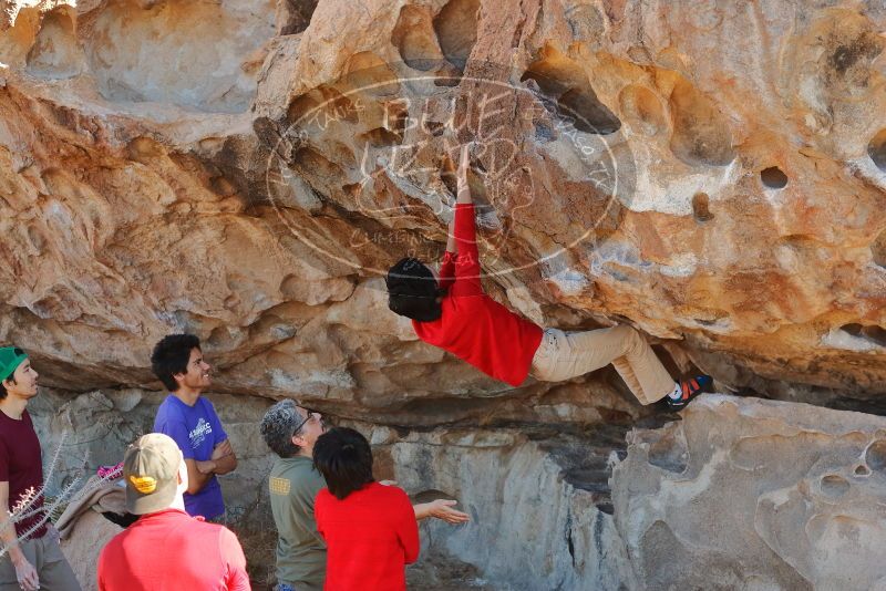 Bouldering in Hueco Tanks on 12/26/2019 with Blue Lizard Climbing and Yoga

Filename: SRM_20191226_1118040.jpg
Aperture: f/4.0
Shutter Speed: 1/250
Body: Canon EOS-1D Mark II
Lens: Canon EF 50mm f/1.8 II