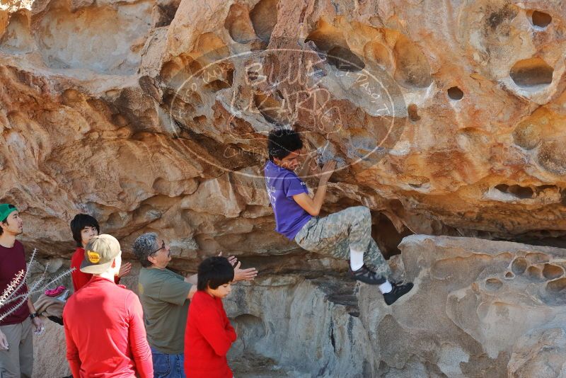 Bouldering in Hueco Tanks on 12/26/2019 with Blue Lizard Climbing and Yoga

Filename: SRM_20191226_1118440.jpg
Aperture: f/4.0
Shutter Speed: 1/250
Body: Canon EOS-1D Mark II
Lens: Canon EF 50mm f/1.8 II